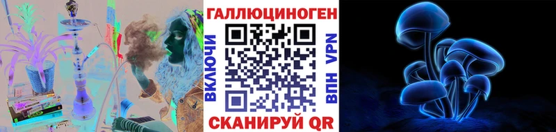 Псилоцибиновые грибы Psilocybe  Будённовск 