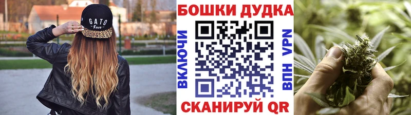 Бошки марихуана конопля  что такое   Будённовск 